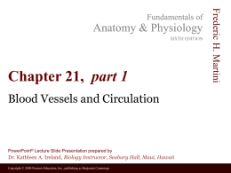 Anatomy & Physiology SIXTH EDITION  Chapter 21, part 1 Blood Vessels and Circulation  PowerPoint® Lecture Slide Presentation prepared by  Dr.
