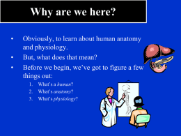 Why are we here? • • •  Obviously, to learn about human anatomy and physiology. But, what does that mean? Before we begin, we’ve got to figure.
