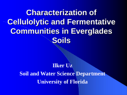 Characterization of Cellulolytic and Fermentative Communities in Everglades Soils Ilker Uz Soil and Water Science Department University of Florida.