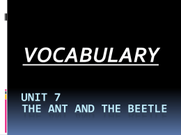 VOCABULARY UNIT 7 THE ANT AND THE BEETLE COLONIES  GROUP OF ANIMALS THAT LIVE  TOGETHER.