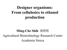 Designer organisms: From cellulosics to ethanol production Ming-Che Shih 施明哲 Agricultural Biotechnology Research Center Academia Sinica.