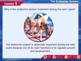 Lesson  The Endocrine System  Why is the endocrine system important during the teen years?  The endocrine system is especially important during the teen years.