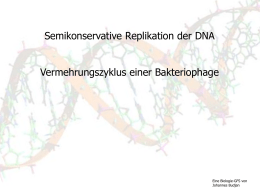 Semikonservative Replikation der DNA Vermehrungszyklus einer Bakteriophage  Eine Biologie-GFS von Johannes Budjan   Replikation der DNA Grundsätzlich zwei verschiedene Replikationsweisen möglich  Konservative Replikation  Semikonservative Replikation  -Doppelhelix bleibt erhalten  -Doppelhelix spaltet.