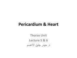 Pericardium & Heart Thorax Unit Lecture 5 & 6   حيدر جليل األعسم . د 