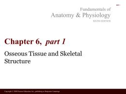 i Fundamentals of  Anatomy & Physiology SIXTH EDITION  Chapter 6, part 1 Osseous Tissue and Skeletal Structure  Copyright © 2004 Pearson Education, Inc., publishing as Benjamin Cummings.
