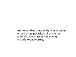 Aschelminthes frequently live in water or soil or as parasites of plants or animals.