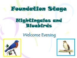 Foundation Stage Nightingales and Bluebirds Welcome Evening Welcome and introductions BLUE ROOM Nightingales: Miss Wood & Mrs Davis YELLOW ROOM Bluebirds: Miss Giles & Mrs Crittenden  And: Mrs.