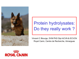 Protein hydrolysates: Do they really work ? Vincent C Biourge, DVM PhD Dipl ACVN & ECVCN Royal Canin, Centre de Recherche, Aimargues   Adverse Reactions.