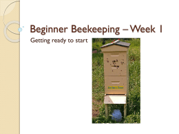 Beginner Beekeeping – Week 1 Getting ready to start   Spring   What do I need? Where do I get it? How do I start?    And what’s it.