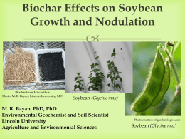 Biochar Effects on Soybean Growth and Nodulation    Biochar from Miscanthus Photo: M. R.