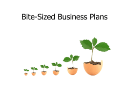Bite-Sized Business Plans   ‘The way a team plays as a whole determines its success.
