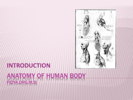 INTRODUCTION ANATOMY OF HUMAN BODY FIDYA,DRG,M.SI   ANATOMY anatomy a Greek “to cut up” / anatomize /dissect. Human anatomy  the science concerned with the structure of the human body.    SURVEY OF SOME.