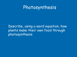 Photosynthesis  Describe, using a word equation, how plants make their own food through photosynthesis   “photosynthesis” “photo” means light…  “synthesis” means to make…  …so what do you think.