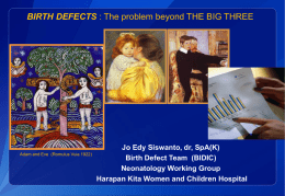 BIRTH DEFECTS : The problem beyond THE BIG THREE  Adam and Eve (Romulus Vuia 1922)  Jo Edy Siswanto, dr, SpA(K) Birth Defect Team.