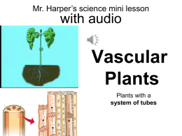 Mr. Harper’s science mini lesson  with audio  Vascular Plants Plants with a system of tubes.