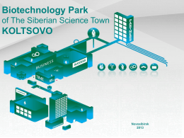 Biotechnology Park of The Siberian Science Town  KOLTSOVO  Novosibirsk  Preconditions of a cluster ’s development • Novosibirsk region is located in the heart of Russia.