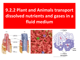 9.2.2 Plant and Animals transport dissolved nutrients and gases in a fluid medium.