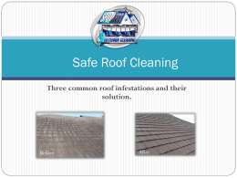 Safe Roof Cleaning Three common roof infestations and their solution.  Before  After The first common roof Infestation  There’s a type of ugly algae that.