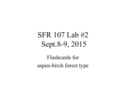 SFR 107 Lab #2 Sept.8-9, 2015 Flashcards for aspen-birch forest type   • Betulaceae (birch) family • gray birch • Betula populifolia  Farrar p.