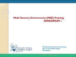 Multi Sensory Environment (MSE) Training SENSORIUM 1  Partial proceeds from this training goes to the Hidden Angel Foundation 11/8/2009  (c) Fornes, 2009