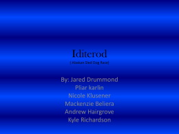 Iditerod ( Alaskan Sled Dog Race)  By: Jared Drummond Pliar karlin Nicole Klusener Mackenzie Beliera Andrew Hairgrove Kyle Richardson   Trail and Course The Iditerod is the only trail mushers.