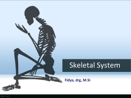Skeletal System Fidya, drg, M.Si Part of Skeletal System • Skeleton • Cartilages • Ligaments • Joint Consist of : • Birth skeletal 270 • Adult skeletal 207/206 Why.