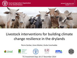 Livestock interventions for building climate change resilience in the drylands Pierre Gerber, Anne Mottet, Giulia Conchedda  TCI Investment Days 16-17 December 2014