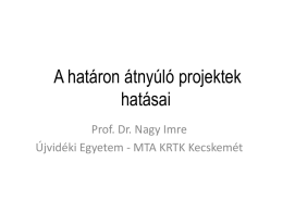 A határon átnyúló projektek hatásai Prof. Dr. Nagy Imre Újvidéki Egyetem - MTA KRTK Kecskemét   HU_SER IPA (2007-2013) 1.1.1. 1a 1.1.2. 1b 1.2.1.1c 1.2.2.1d 2.1.1.