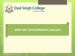 ZOHP-509: DEVELOPMENTAL BIOLOGY   Frog Embryology : Early Cleavage  100X  © 2015 DSC-206  © 2015 DSC-206   Frog Embryology : 2 Celled Stage (W.M)  40X  © 2015 DSC-206  © 2015