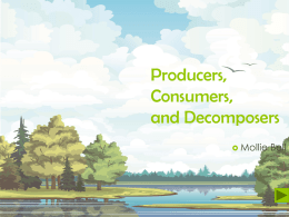 Producers, Consumers, and Decomposers  Mollie  Bell     Content Area: Science    Grade Level 4    Summary: This activity is to enhance students’ knowledge of the food chain by identifying a.
