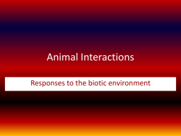 Animal Interactions Responses to the biotic environment   INTERSPECIFIC AGGRESSIVE Competition Predator-prey Parasite-host CO-OPERATIVE Mutualism Commensalism Antibiosis   Competition Individuals of different species vie for the same resource in an ecosystem (e.g.