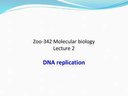 Zoo-342 Molecular biology Lecture 2  DNA replication   DNA replication   DNA replication is the process in which one doubled-stranded DNA molecule is used to create two.