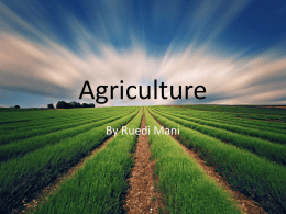 Agriculture By Ruedi Mani   Brief History of Agriculture • Farming began in BC in the 1800s • Fort Fraser was the first town to.