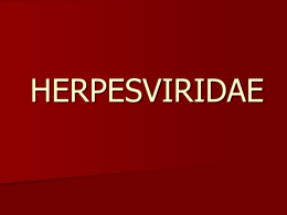 HERPESVIRIDAE   KARAKTERISTIK Herpesvirus merupakan virus DNA intranukleus besar.  Mempunyai kecenderungan kuat untuk menimbulkan infeksi laten dan rekuren.  Dibagi menjadi 3 Genus :   – Alphavirinae (terdiri.