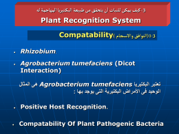   كيف يمكن للنبات أن يتحقق من طبيعة البكتيريا المهاجمة له -3 Plant Recognition System Compatability)  (التوافق واالنسجام 1-3    Rhizobium. Agrobacterium tumefaciens (Dicot Interaction)   هى المثال Agrobacterium tumefaciens.