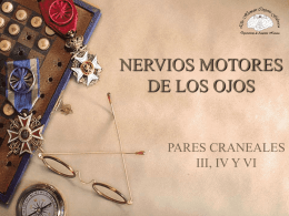 NERVIOS MOTORES DE LOS OJOS  PARES CRANEALES III, IV Y VI   TERCER, CUARTO Y SEXTO PARES CRANEALES  INTRODUCCIÓN: - Se les conoce con el nombre de oculomotores. -