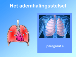 Het ademhalingsstelsel  paragraaf 4   Het ademhalingsstelsel   Het ademhalingsstelsel neusholte  mondholte keelholte strottenhoofd luchtpijp  bronchie long  longblaasjes   neusholte of mondholte keelholte strottenhoofd luchtpijp  bronchiën longblaasjes  De weg die lucht aflegt door je ademhalingsstelsel.   Neusholte • De neusholte is vanbinnen bekleed met neusslijmvlies. • Het.