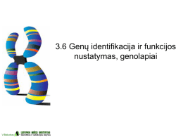 3.6 Genų identifikacija ir funkcijos nustatymas, genolapiai  V.Baliuckas  Genetikos ir selekcijos skyrius   Tam tikras pozicinio klonavimo taikymo kartografuojant, pvz.