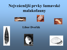 Nejvzácnější prvky šumavské malakofauny  Libor Dvořák Historie malakologického výzkumu Šumavy  19. století – Klika a Blažka 20.