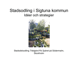 Stadsodling i Sigtuna kommun Idéer och strategier  Stadsdelsodling Trädgård På Spåret på Södermalm, Stockholm.