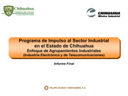 Programa de Impulso al Sector Industrial en el Estado de Chihuahua Enfoque de Agrupamientos Industriales (Industria Electrónica y de Telecomunicaciones) Informe Final  FELIPE OCHOA Y.