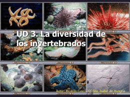 UD 3. La diversidad de los invertebrados  Autor: Ricardo Cuscó. CC Sta.