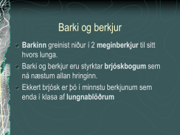 Barki og berkjur Barkinn greinist niður í 2 meginberkjur til sitt hvors lunga. Barki og berkjur eru styrktar brjóskbogum sem ná næstum allan hringinn. Ekkert.