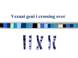 Vezani geni i crossing over   Vezani geni i crossing over     Broj gena značajno prevazilazi broj hromozoma što znači da se više gena nalazi.