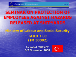 SEMINAR ON PROTECTION OF EMPLOYEES AGAINST HAZARDS RELEASED AT SHIPYARDS Ministry of Labour and Social Security TAIEX / EC (IM 30802) Istanbul, TURKEY 6-7 November 2008