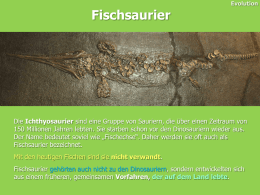 Fischsaurier  Evolution  Die Ichthyosaurier sind eine Gruppe von Sauriern, die über einen Zeitraum von 150 Millionen Jahren lebten.