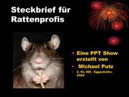 Steckbrief für Rattenprofis  • Eine PPT Show erstellt von • Michael Putz •  2. KL INF, Eggenhofer,