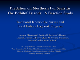 Predation on Northern Fur Seals In The Pribilof Islands: A Baseline Study Traditional Knowledge Survey and Local Fishery Logbook Program Andrew Malavansky1, Aquilina D.