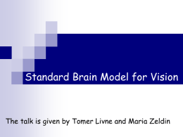 Standard Brain Model for Vision  The talk is given by Tomer Livne and Maria Zeldin   Overview Introduction to biological basis of vision  Computer.