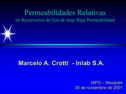 Permeabilidades Relativas en Reservorios de Gas de muy Baja Permeabilidad  Marcelo A.
